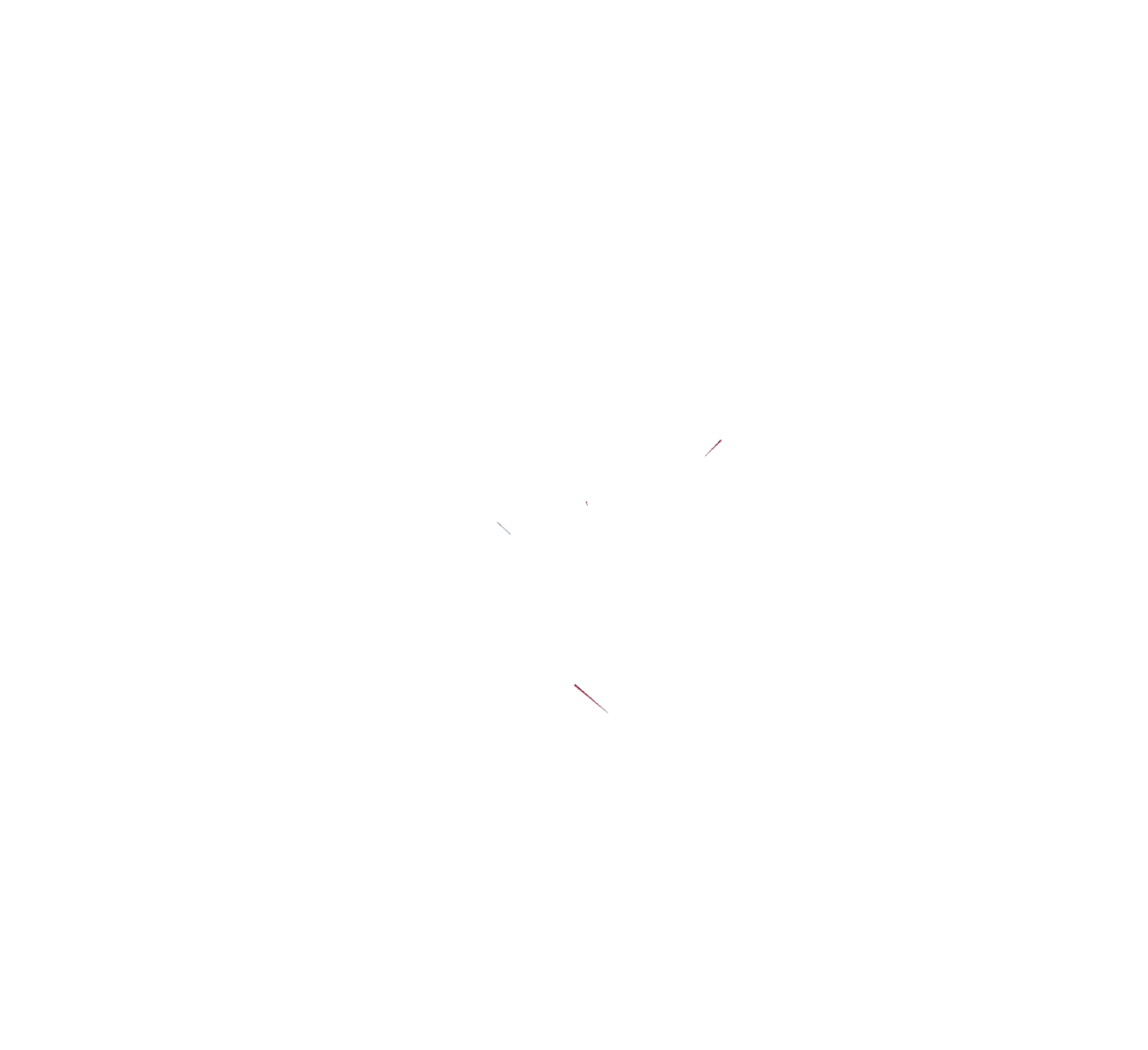 Community Leaders of America